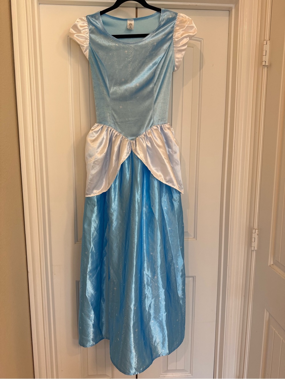 Little Adventures Enchanted Cinderella Dress Costume - Adult Small 4-6